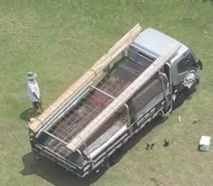 Waste Removal